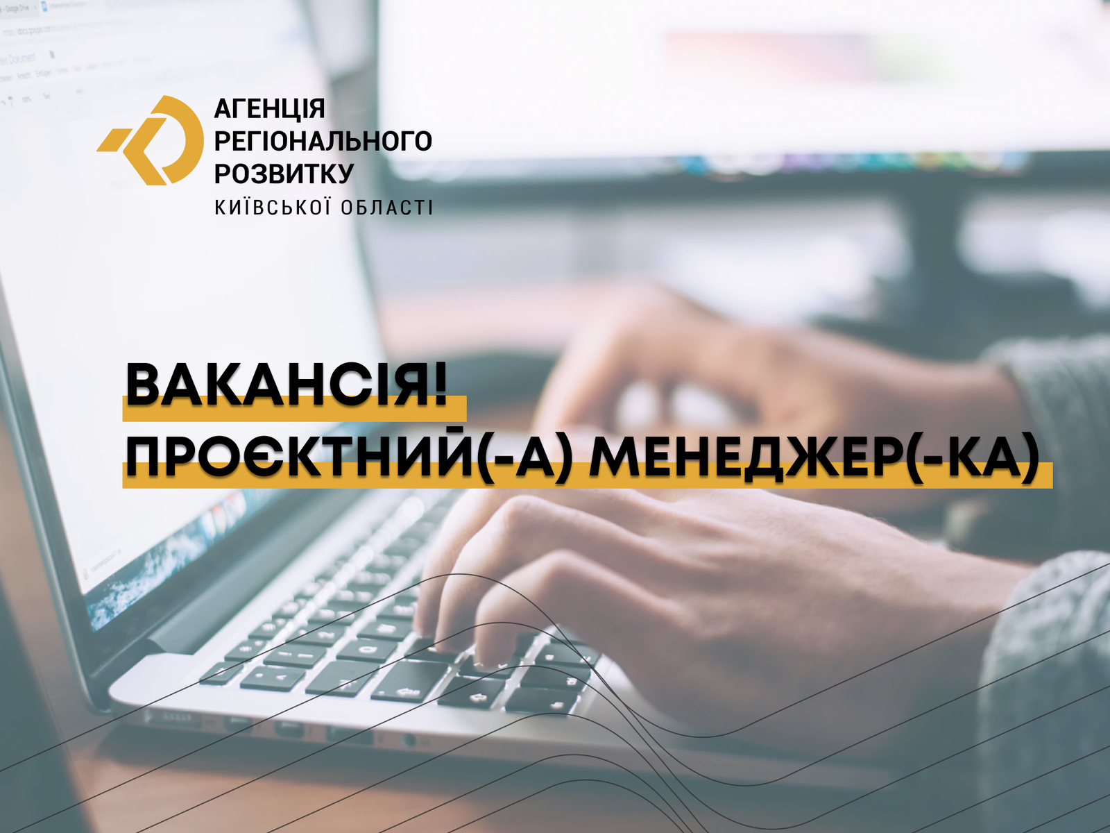 We are hiring a project manager!